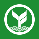 KBank Logo